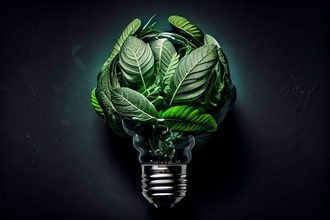 Lightbulb made of leaves, sustainability, renewable energy